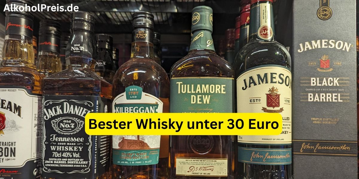 Bester Whisky unter 30 Euro